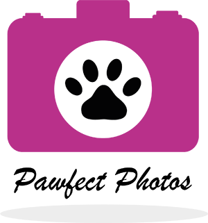 Pawfect Photos